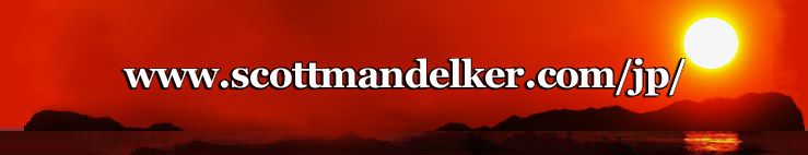 http://www.scottmandelker.com/